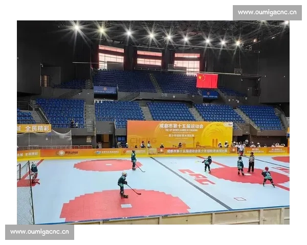 全面推荐优质体育平台助你畅享精彩赛事与体育体验